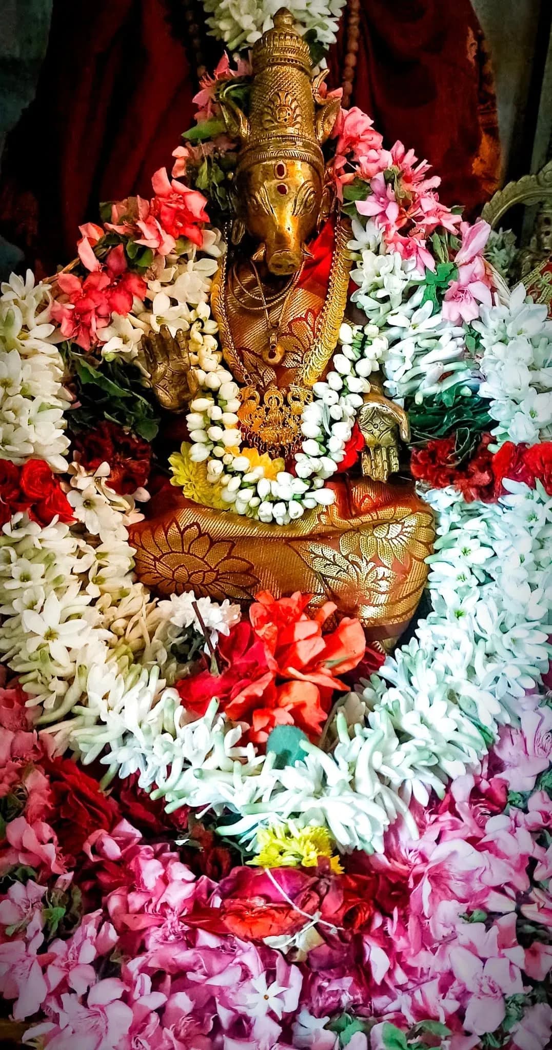 Sri Varahi Temple 25