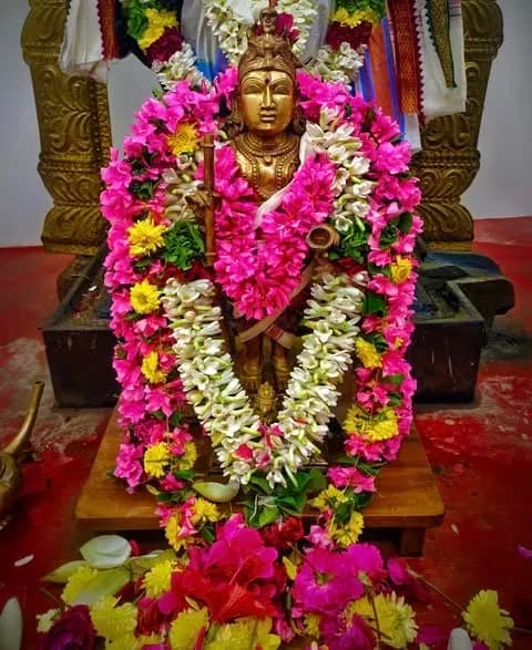 Sri Varahi Temple 26